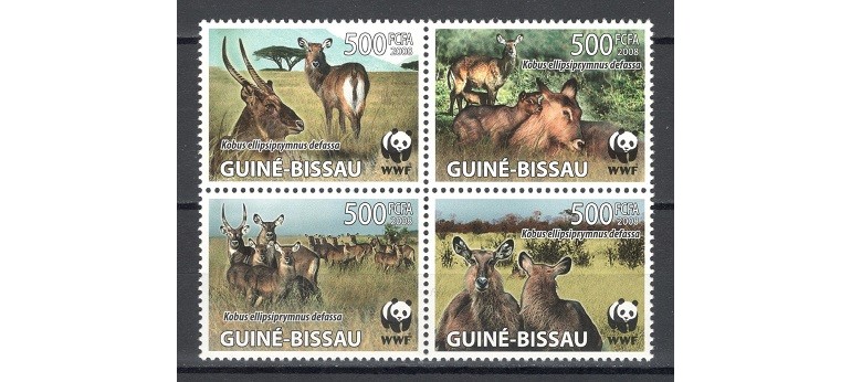 GUINEA BISSAU 2008 - FAUNA WWF - SERIE IN BLOC DE 4 TIMBRE - NESTAMPILATA - MNH / fauna624